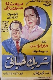 Poster شريك حياتى