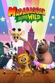 Madagascar: A Little Wild - Holiday Goose Chase (2021)