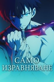 Соло играч
