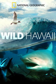 Дикі Гаваї / Wild Hawaii (2014) TMDB poster