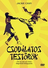 Csodálatos testőrök poszter