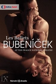 Poster Les Ballets Bubeníček 2014