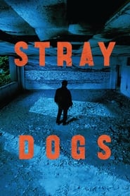 Stray Dogs постер
