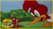 Poster Wicket Wacky 1951