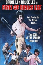 Poster Mit den Fäusten von Bruce Lee