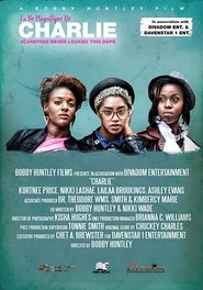 Poster La Vie Magnifique De Charlie 2017