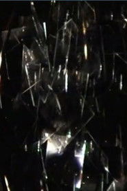 Filmatruc à verres n°2, Oiseaux