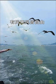 自然世界：驭风而归