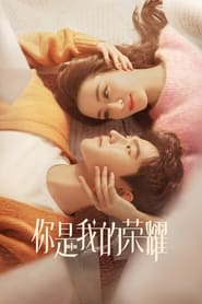 Voir 你是我的荣耀 en streaming