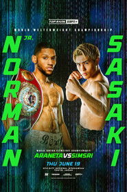 Brian Norman Jr vs. Jin Sasaki (2025)