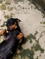 Poster Os Cães!