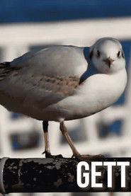 Getting Across the Solent, How hard can it be? (2025)