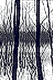 Poster Pan 1998