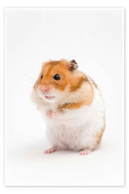 The Intervention (2025)