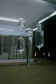 The Glass Evangelist