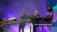 The Avalanches