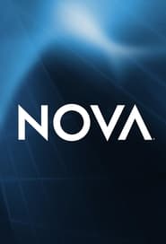 Nova постер