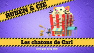 Les chatons de Carl