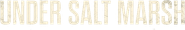 Under Salt Marsh Logo