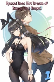 Seishun Buta Yarou wa Bunny Girl Senpai no Yume wo Minai 1 Staffel