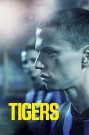 Tigers постер