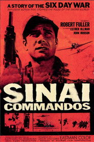 Sinai Commados