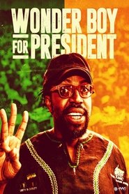 Affiche de Wonder Boy for President
