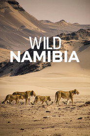 Wild Namibia (2013)