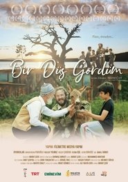 Bir Düş Gördüm) Bir Düş Gördüm (2020)