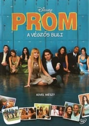 Prom - A végzős buli (2011)