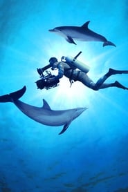 Diving with Dolphins постер
