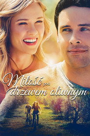 Plakat — Miłość pod drzewem oliwnym