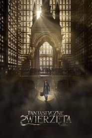 poland Fantastyczne zwierzęta i jak je znaleźć 2016 Cały Film online