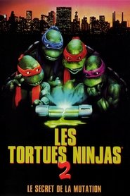 Les Tortues Ninja 2 : Les Héros sont de retour film vf 1991 streaming
en ligne [4K]