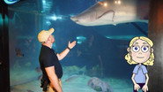 Aquarium, Set Design, Hopewell Mounds, and Pediatrician