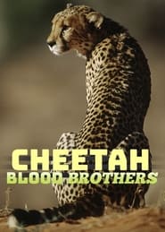 Cheetah Blood Brothers 2007