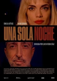 Poster Una sola noche