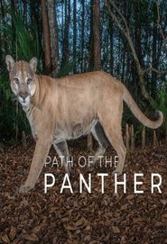 Path of the Panther (2022)