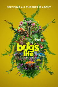 A Real Bug's Life poster