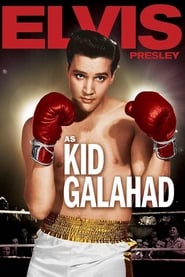 Kid Galahad постер