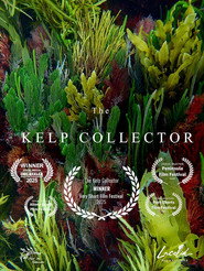 The Kelp Collector
