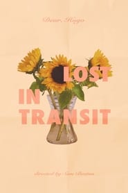 Lost in Transit