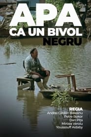 Poster Apa ca un bivol negru