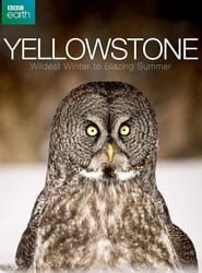 Yellowstone: Wildest Winter to Blazing Summer постер