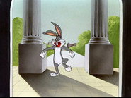 Rebel Rabbit