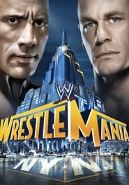 WrestleMania 29 постер