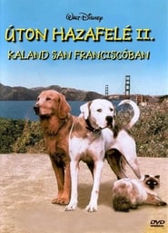 Homeward Bound II: Lost in San Francisco