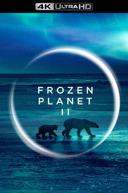 Frozen Planet II poster