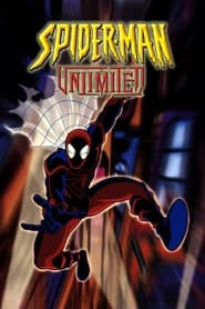 Spiderman – Bez hranic