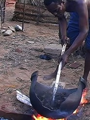 African Herbsmen: Healing and Religion along the Bight of Benin